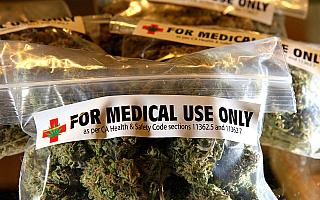 Medyczna marihuana dostępna będzie w aptekach za trzy miesiące. Prezydent  podpisał ustawę